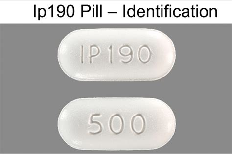 Pill with ip190 - Pill Identifier results for "IP 19". Search by imprint, shape, color or drug name. ... IP 190 500 Color White Shape Oval View details. 1 / 4 Loading. IP 194 ... 